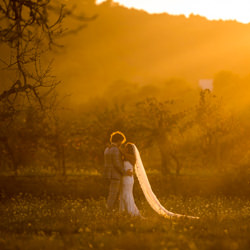 Golden hour-Bas Uijlings-finalist-wedding-4808