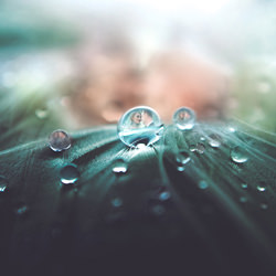 Droplet Refraction by Jimmy Bui Photography-Jimmy Bui-silver-wedding-4975