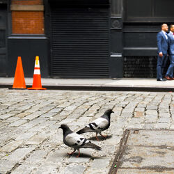 Soho-Matthew Sowa-finalist-wedding-9947