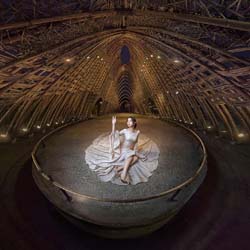 Radiant Bamboo Pavilion-Joe Lai-bronze-wedding-12826