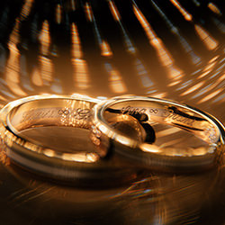 Golden Rings-Alvin Au-bronze-wedding-18687