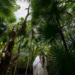 Jungle lovin-Vincent Van Den Berg-bronze-wedding-18652
