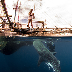 Fisherman and the Whaleshark-Levente Rozsahegyi-finalist-wildlife-17121