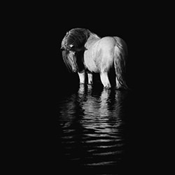reflections in solitude-Samantha Dawn Ebeling-finalist-women-15164